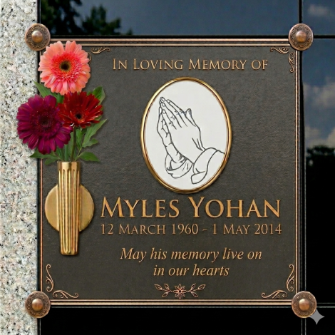 plaque plaque